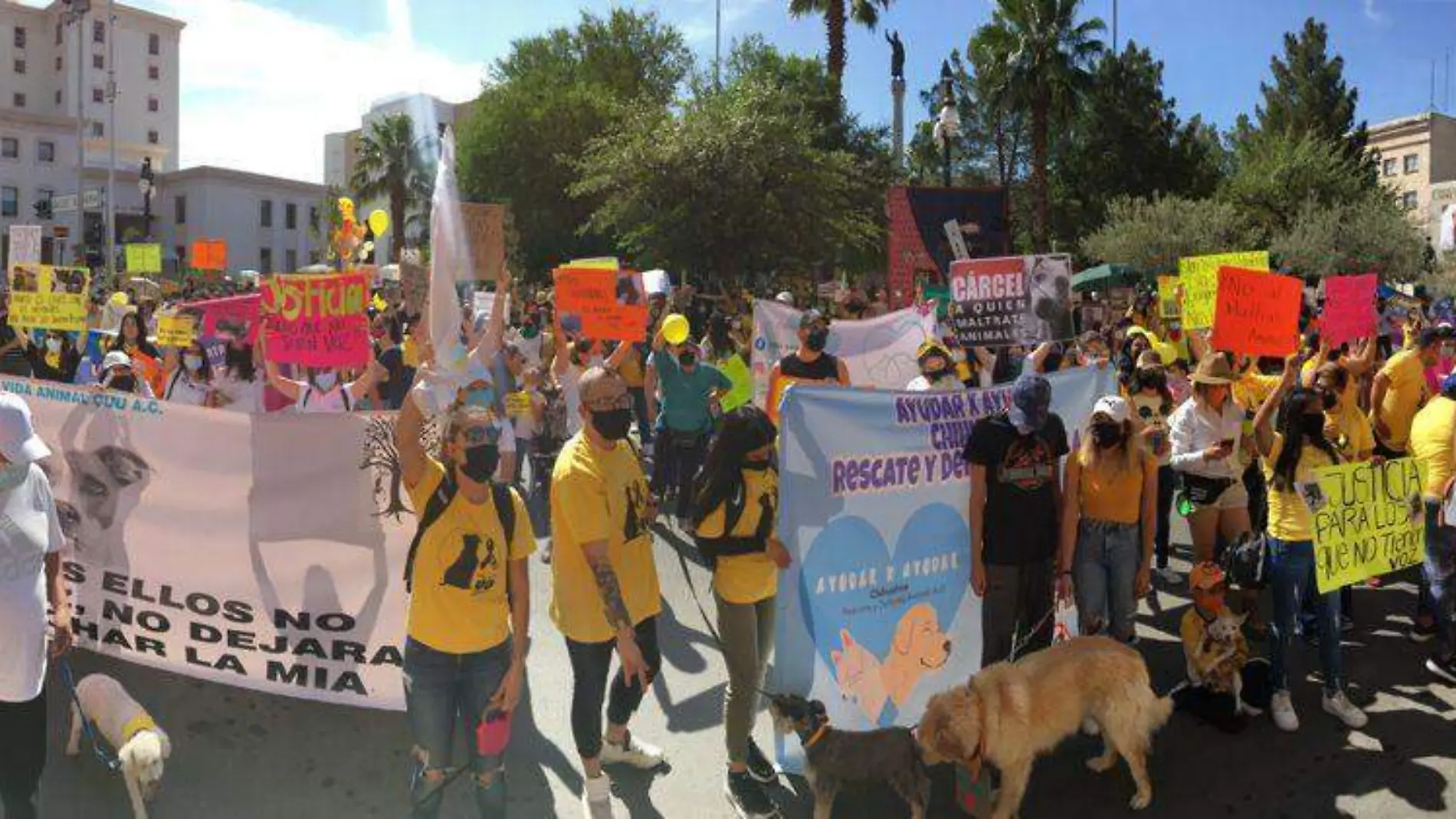 marcha animales 8